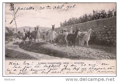 Per026/  PERU - Bahnpost Ex Parpa Calla 1908 Nach Schweden. AK Lama-Transport. - Peru