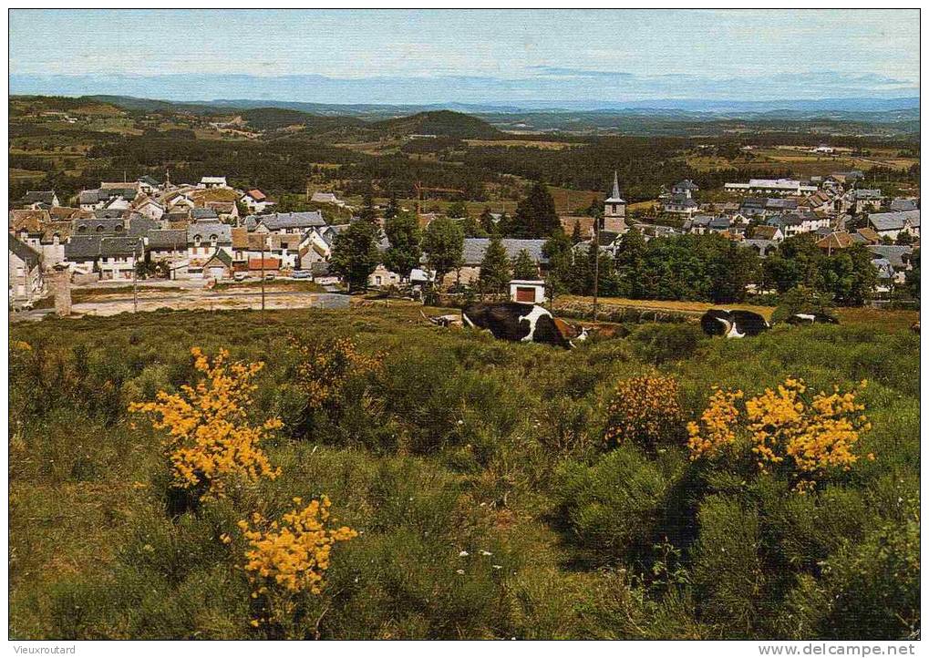 CPSM. PITTORESQUE VILLAGE D´AUMONT AUBRAC. VUE GENERALE PRISE DU SACRE COEUR. DATEE 1981. - Aumont Aubrac