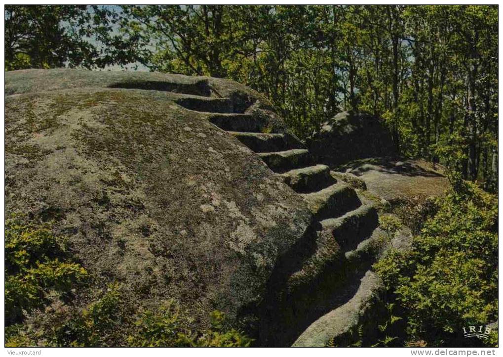 CPSM. PONTARION. SUR LA COLLINE DE MARTINEICHE. LA PIERRE AUX NEUF GRADINS. DATEE 1975. - Pontarion