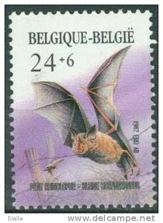 Belgique 1987, Chauve-souris - Bat - Vleermuis MNH ** - Fledermäuse