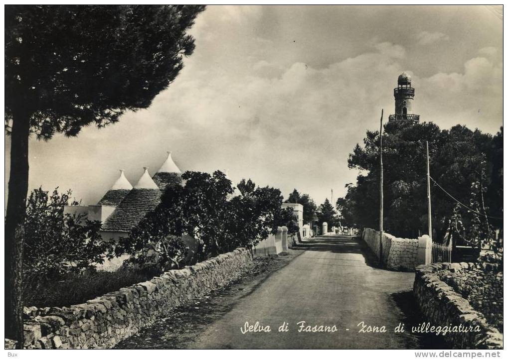 FASANO SELVA PUGLIA BRINDISI  VIAGGIATA COME DA FOTO IMMAGINE LUCIDA - Brindisi