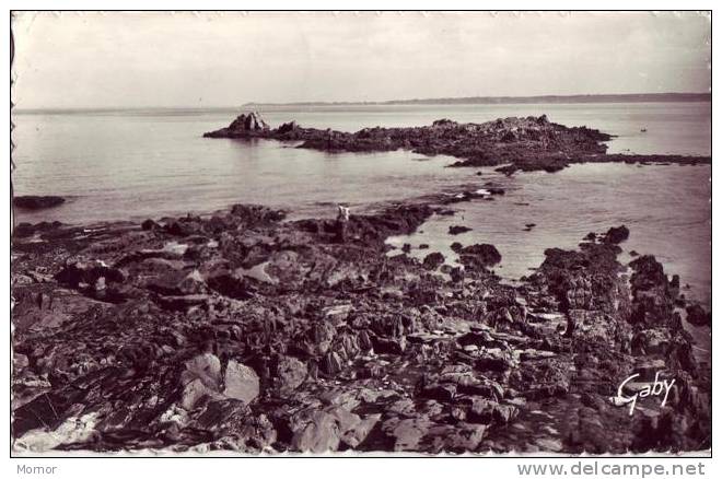 LOQUIREC L'Ile Verte à L'Horizon Trébeurden - Locquirec