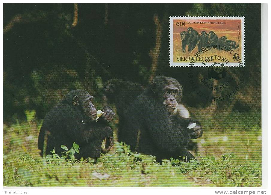 WM0455 Chimpanze Pan Troglodytes Sierra Leone 1983 FDC Premier Jour Maximum WWF - Singes