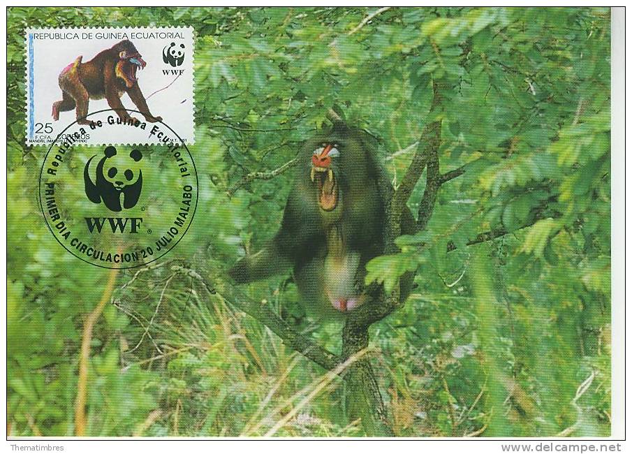 WM0329 Mandril Mandrillus Sphinx Guinée Equatoriale 1991 FDC Premier Jour Maximum WWF - Singes