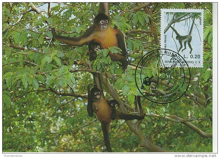 WM0336 Singe Araignee Atele De Geoffroy Honduras 1990 FDC Premier Jour Maximum WWF - Apen