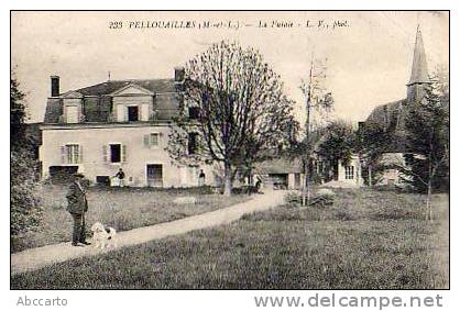 PELLOUAILLES....La Futaie  Et L'Eglise - Segre