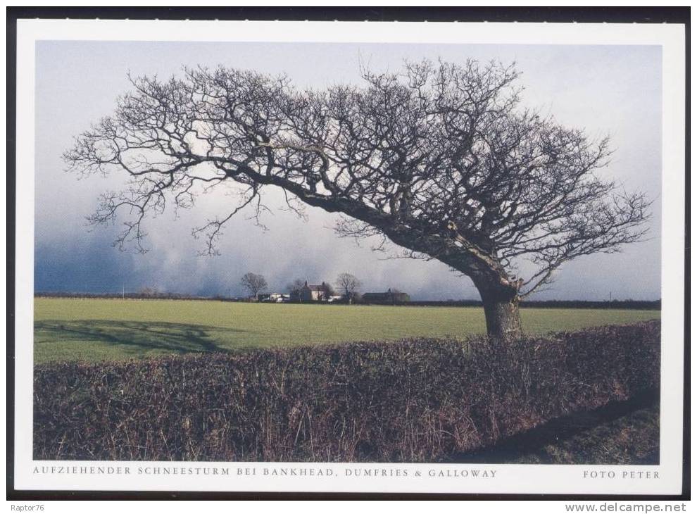 CPM  ROYAUME UNI  Aufziehender Schneesturm Bei Bankhead, Dumfries & Galloway - Dumfriesshire