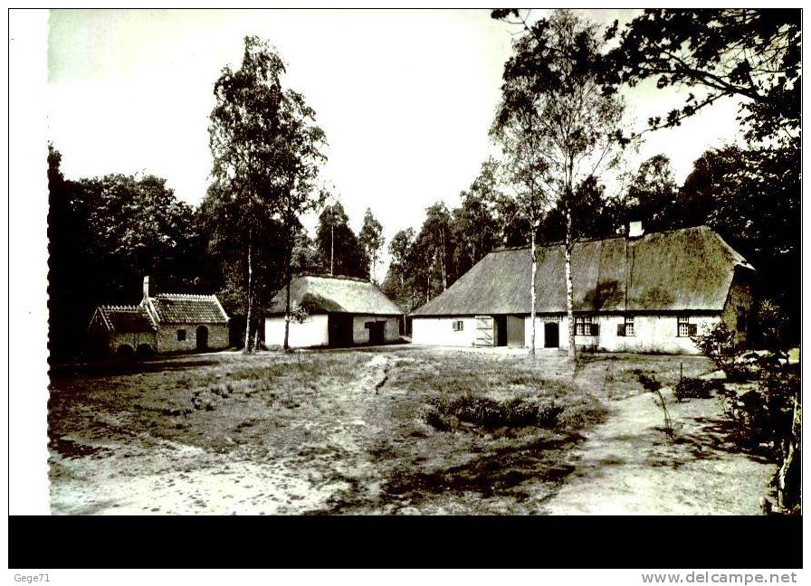 Domein Bokrijk - Openluchtmuseum - Genk