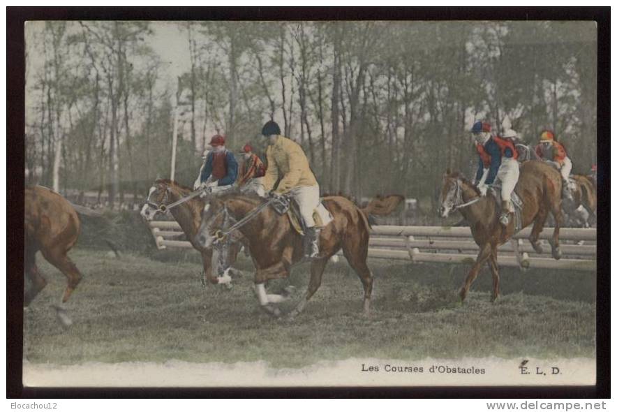 Les Sauts D Obstacles - Horse Show