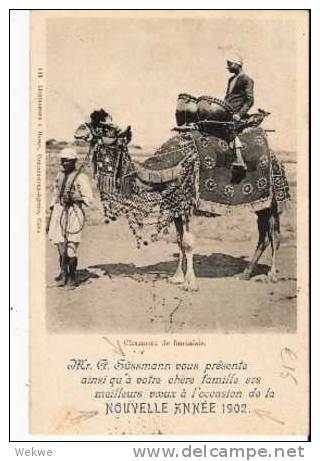 Egy079/ ÄGYPTEN -  Pyramiden/Sphinx (Paar) AK Neujahrsgrüsse 1902 - 1866-1914 Ägypten Khediva