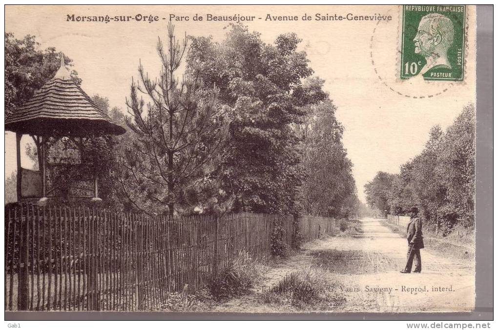 91 --- Morsang - Sur - Orge --- Parc Beausejour --- Avenue De Sainte - Genevieve - Morsang Sur Orge