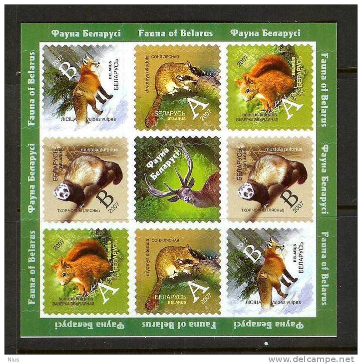 Belarus Fauna Birds 2007 Animals - Other & Unclassified