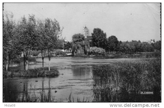 80. PERONNE.  LES ETANGS.  80.620.13 - Peronne