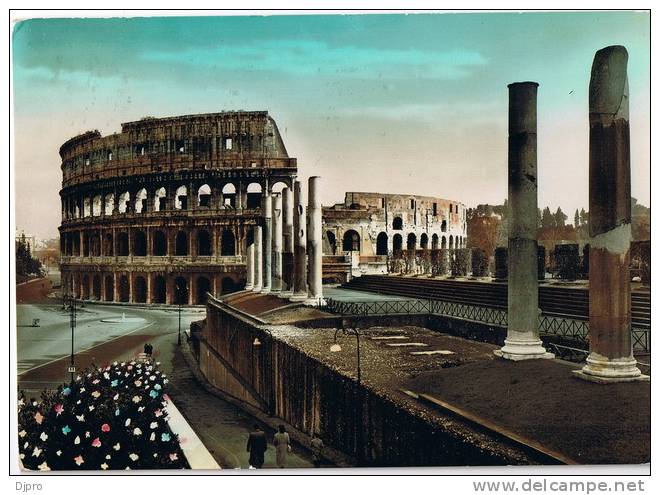 ROMA  Il Colosseo - Colosseum