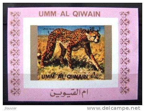 Bloc Neuf Non-dentelé : Mammifères : Guépard. Umm-Al-Qiwain. Michel N° 1371A - 1972. - Felini