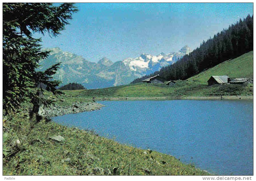 Carte Postale  74.  Sixt Lac De Gers Trés Beau Plan - Sixt-Fer-à-Cheval