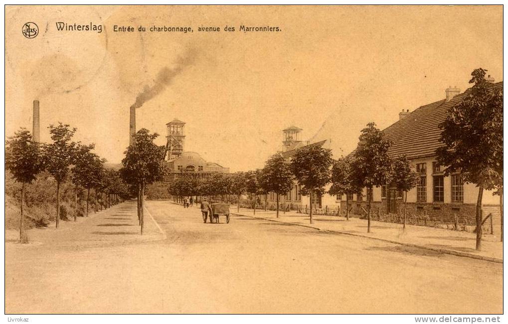 Winterslag (Belgique) : Entrée Du Charbonnage, Avenue Des Marronniers. Thèmes : Usine, Charbon, Mine - Genk