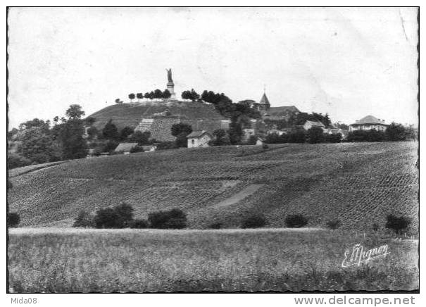 51. CHATILLON SUR MARNE.  LES VIGNES DU COTEAU DE CHATILLON. - Châtillon-sur-Marne