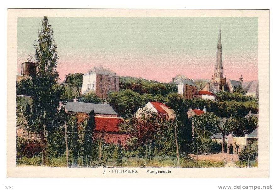 PITHIVIERS - Vue Générale - Colorisée - Pithiviers