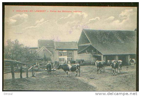 9301-     Woluwe-St-Lambert   Intérieur    Ferme  Des Moineaux - Woluwe-St-Lambert - St-Lambrechts-Woluwe