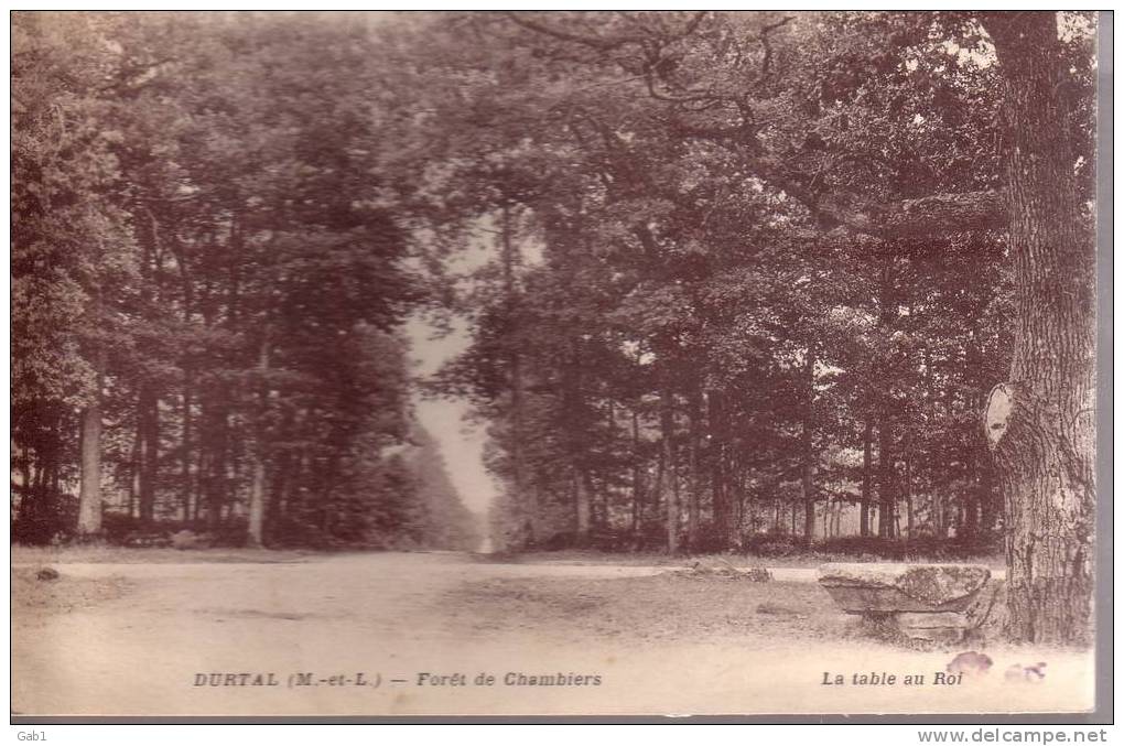 49 --- Durtal --- Foret De Chambiers --- La Table Du Roi - Durtal