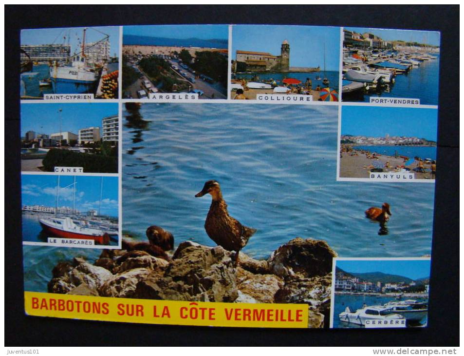 686 Z - CPSM La Côte Vermeille-Diverses Vues - Languedoc-Roussillon