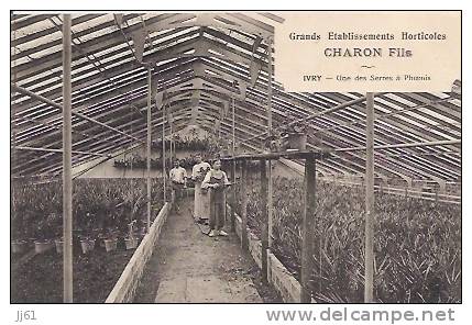 Yvry Sur Seine Grand Etablissements Horticoles CHARON FILS Une Des Serres à Phoenix Cpa Be - Ivry Sur Seine