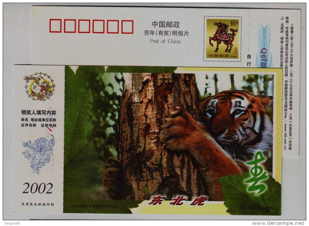 Siberian Tiger,#8,China 2002 Heilongjiang Rare Animal Advertising Pre-stamped Card - Big Cats (cats Of Prey)