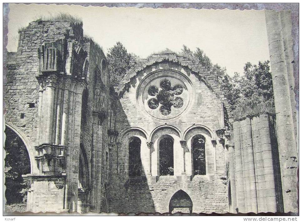 CP Photo De L'abbaye D'ORVAL " Rosace De L'ancienne église ". - Florenville
