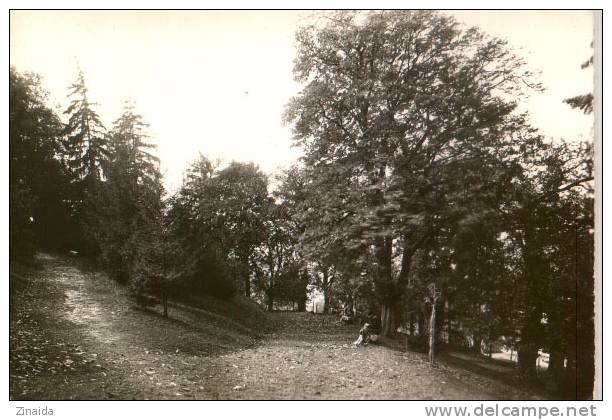 CARTE POSTALE DE DIEMOZ - UN COIN DU PARC - LE REPOS SOUS LES PINS - Diémoz