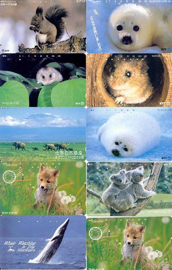 ANIMAUX  TIERE /  DIEREN / ANIMALS  10 TELECARTES  JAPON ( # 16) - Lots - Collections