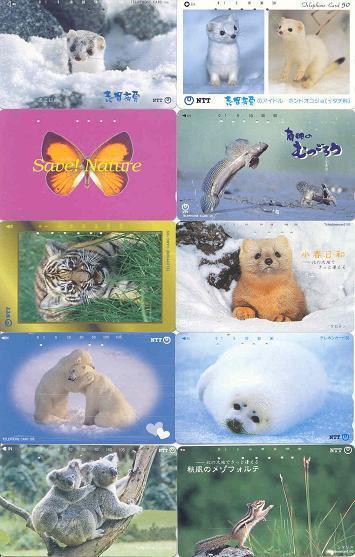 ANIMALS - ANIMAUX - TIERE - DIEREN  10 Telecartes ( # 21)  Phonecards - Collections