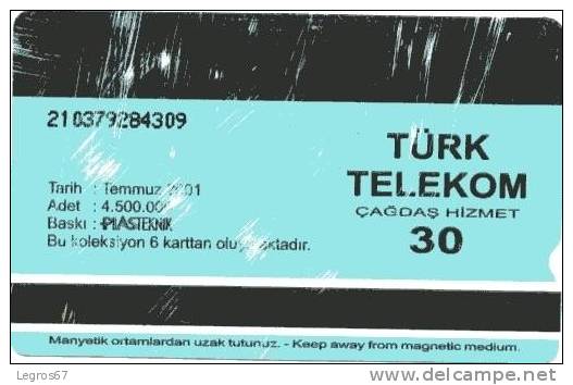 TELECARTE TURK TELEKOM 30 2001 - Turchia