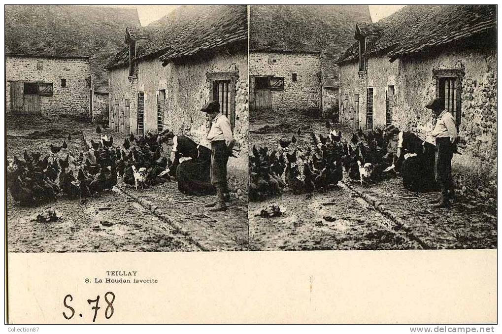 45 - TEILLAY - COUR De FERME - POULE - COQ - CARTE STEREOSCOPIQUE - STEREOVIEW - STEREOSCOPISCHE KAART - Elevage