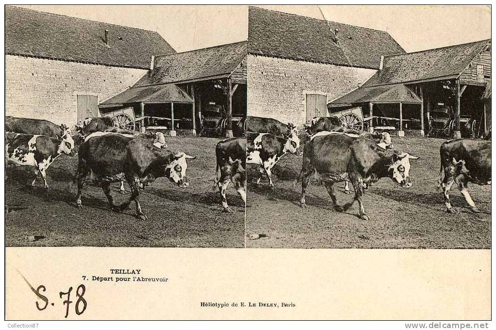 45 - TEILLAY - COUR De FERME - VACHE - CARTE STEREOSCOPIQUE - STEREOVIEW - STEREOSCOPISCHE KAART - Elevage