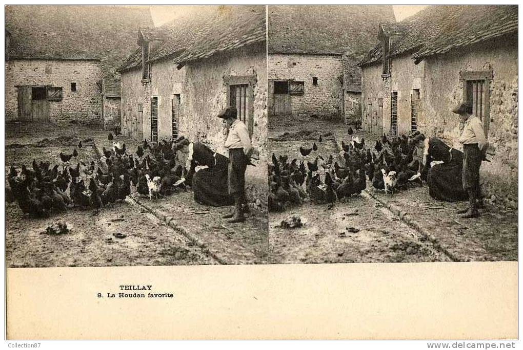 45 - TEILLAY - COUR De FERME - POULE - COQ - CARTE STEREOSCOPIQUE - STEREOVIEW - STEREOSCOPISCHE KAART - Allevamenti