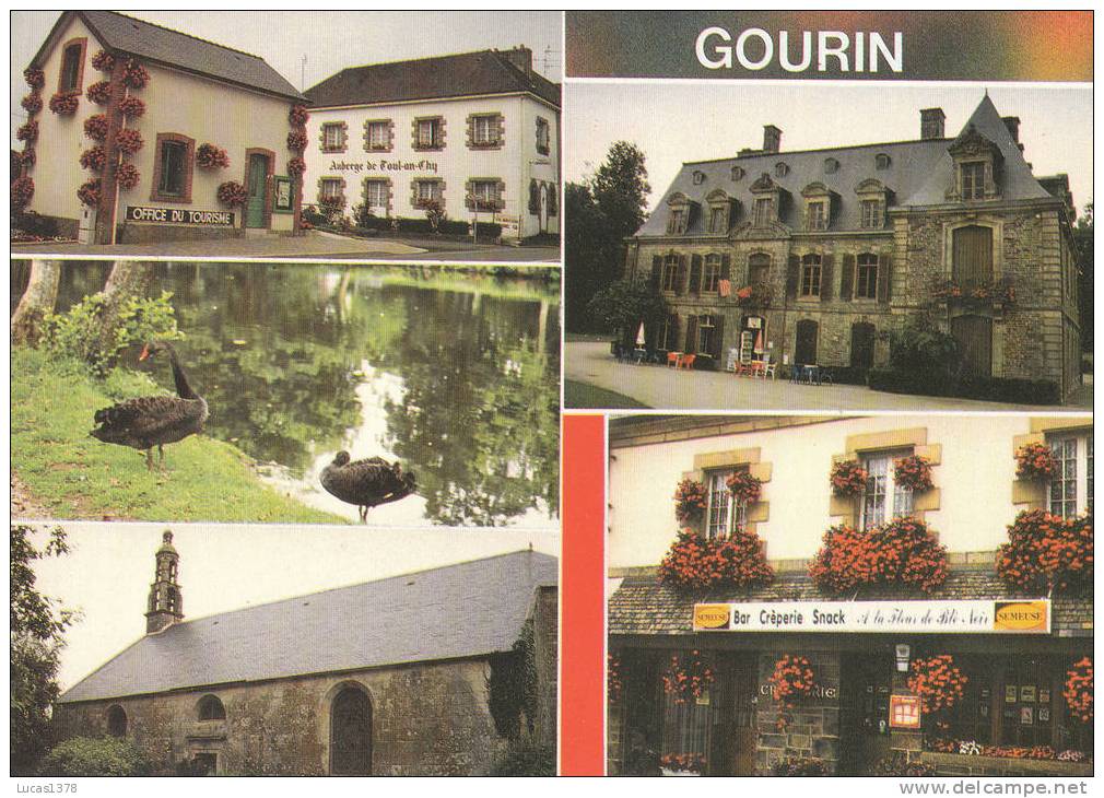 56 / GOURIN / MULTIVUES / OFFICE TOURISME / AUBERGE DE TOUL EN CHY / CREPERIE FLEUR DE BLE - Gourin