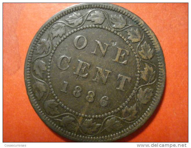 644 CANADA ONE CENT          AÑO / YEAR  1886   MBC-/ VF- - Canada