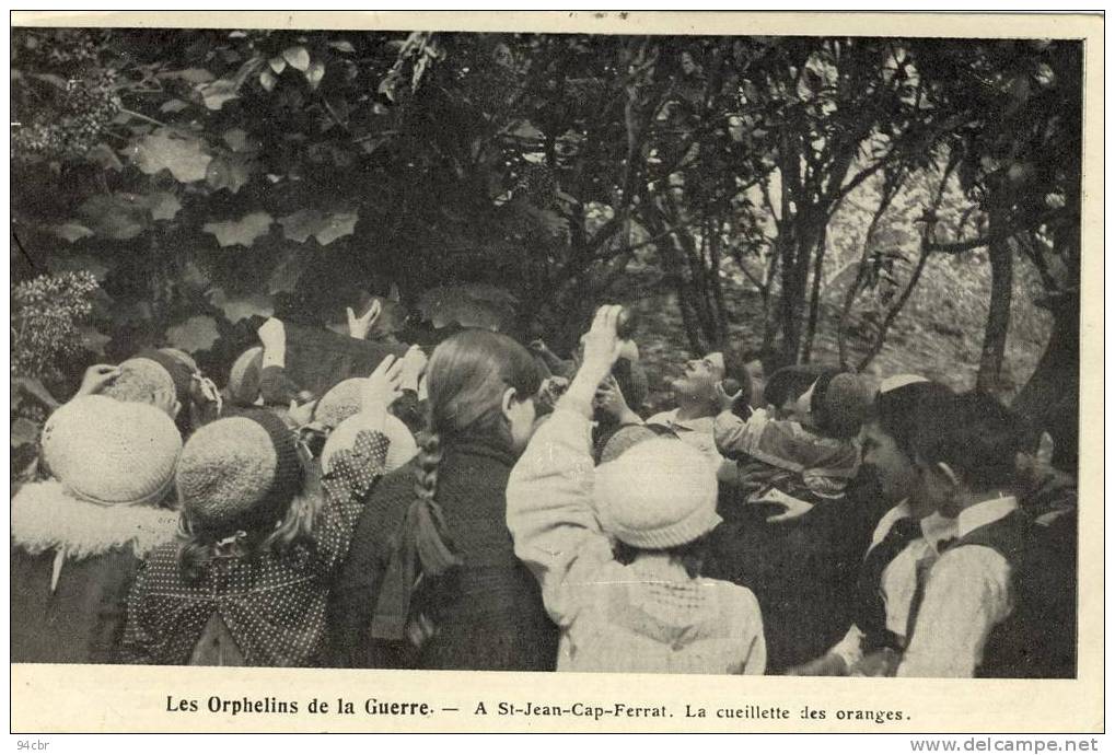 CPA (06 ) SAINT JEAN CAP FERRAT Les Orphelins De La Guerre    La Cueuillette Des Oranges - Saint-Jean-Cap-Ferrat