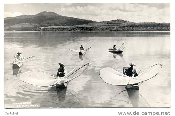 MARIPOSAS LAGO DE PATZCUARO-- PHOTO CARD - Mexique