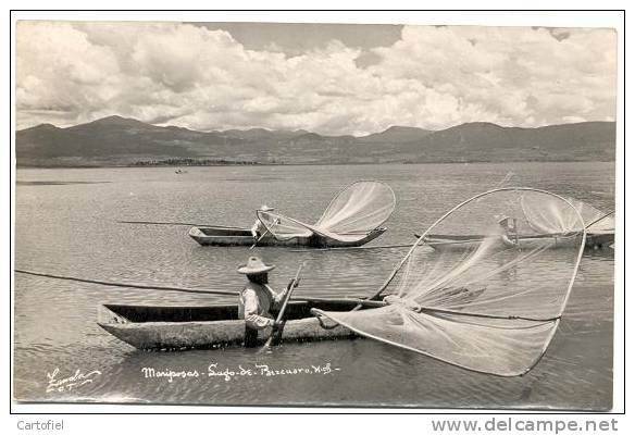 MARIPOSAS LAGO DE PATZCUARO-- PHOTO CARD - Mexique