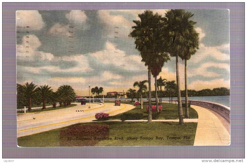 Tropical Bayshore Blvd. Along Tampa Bay, Florida - Tampa