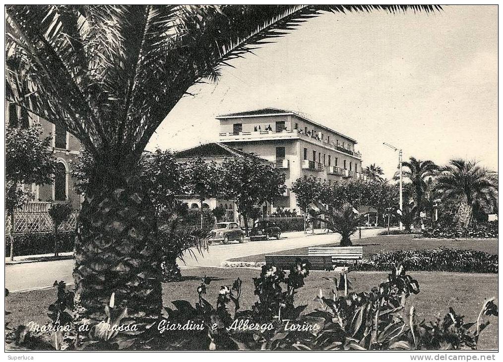 Marina Di Massa-giardini E Albergo Torino - Massa