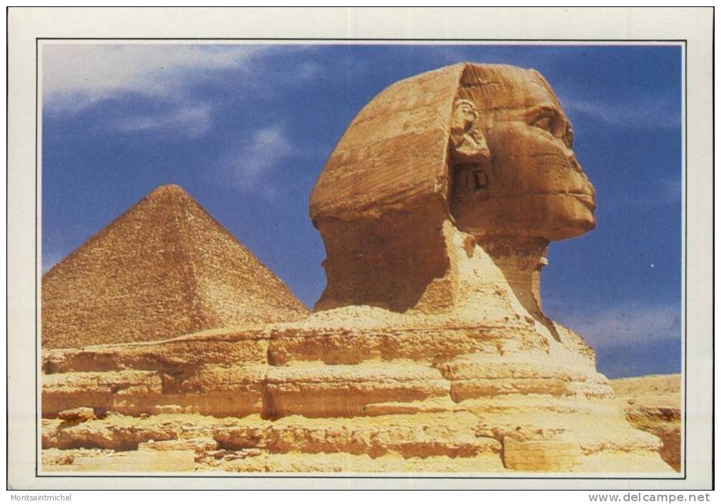 Le Sphinx De Gizeh. Egypte. - Gizeh