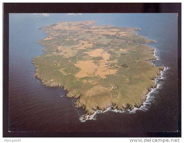 Ile De Groix Vue D'ensemble édit.artaud N° 22 Cliché Aérien Heurtier Belle Cpsm - Groix