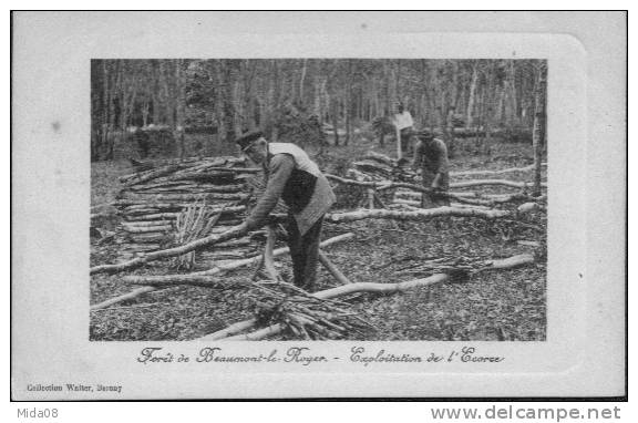 27. BEAUMONT LE ROGER.   FORET. EXPLOITATION DE L'ECORCE. - Beaumont-le-Roger