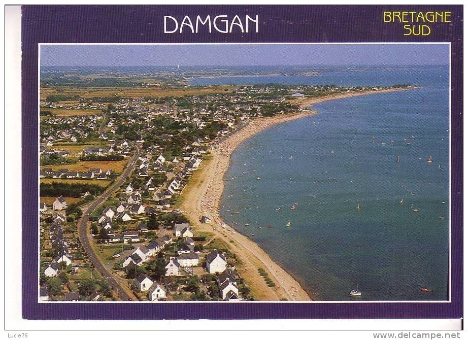 DAMGAN -   Vue Générale - Damgan