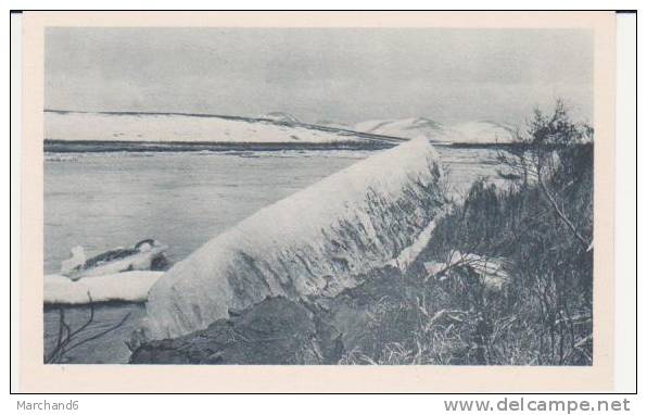 POLE NORD.ALASKA.PAYSAGE D ETE CERCLE ARCTIQUE - Sonstige & Ohne Zuordnung