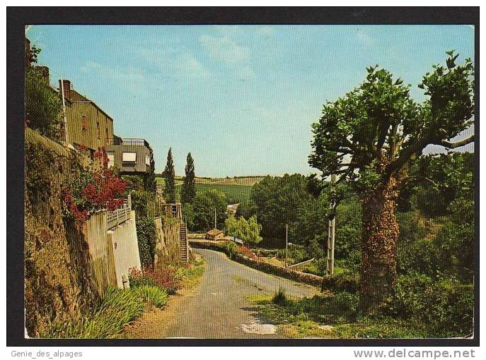 79 ARGENTON CHATEAU, La Rue De La Montagne, CPSM 10x15, Ed Pierre Artaud, Voyagé  En 1985, Bon état - Argenton Chateau