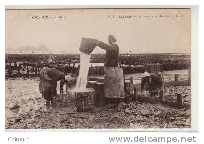 CANCALE LE LAVAGE DES HUITRES BEAU PLAN - Cancale